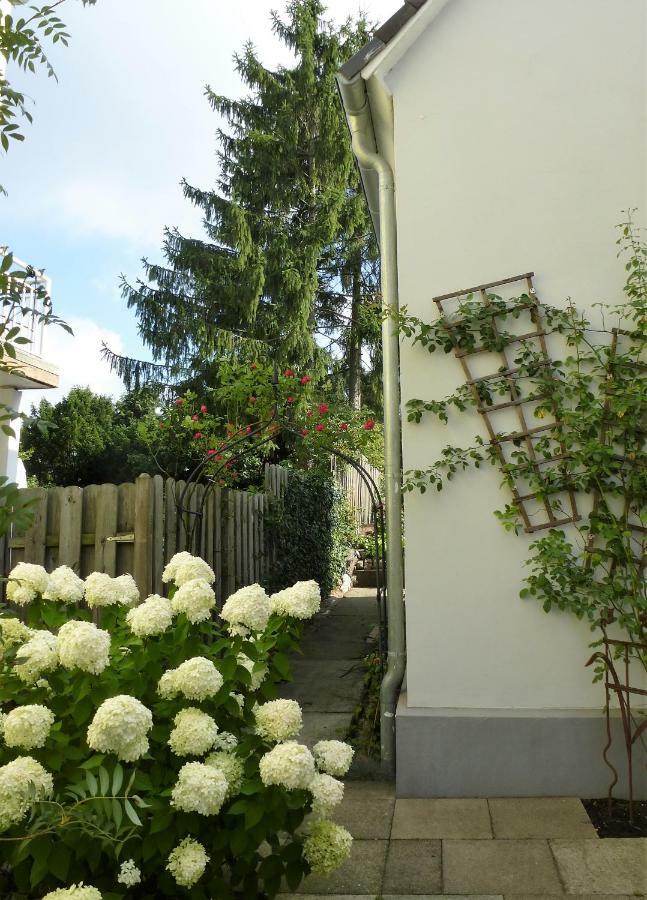 Schwalbennest Apartment Geesthacht Exterior foto